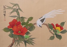 Vogel hibiskus roseneibisch - vogel,
