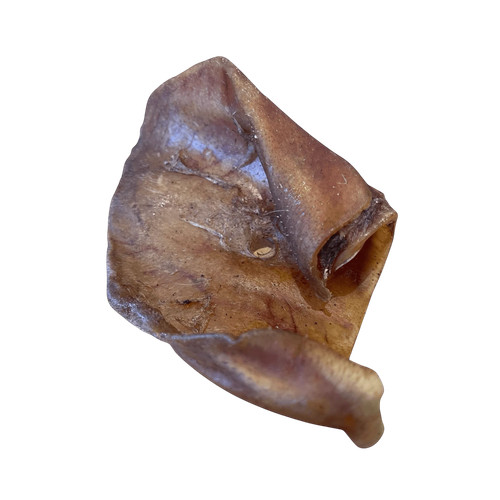 Schweineohr kausnack hund - schweineohr,