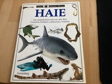 Kinderbuch / Sehen, Staunen, Wissen Buch / Haie / Gerstenberg Verlag