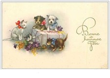 Chats.n °119.BONNE Und