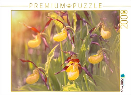 Calvendo puzzle ein motiv aus - calvendo,