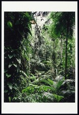 Fotokunst/Düsseldorfer