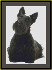 Scottish Terrier Scottie Hund Kreuzstich Set