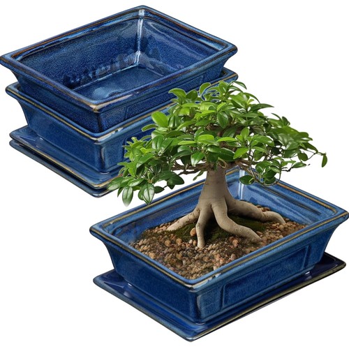 Keramiktopf bonsai set - set, 2er