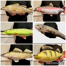 Kuscheltier Fisch Plüschtier