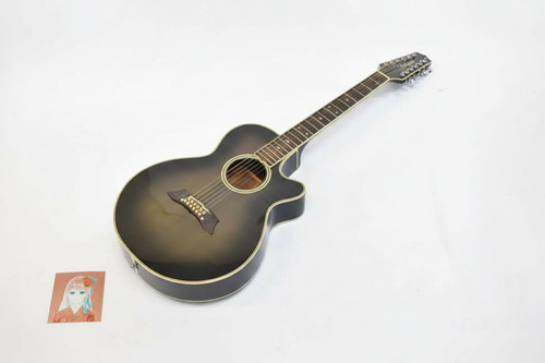 Takamime npt110 string - npt110-12, 12-string