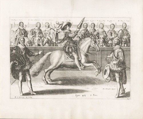 Reitschule riding school pferd - reitschule,