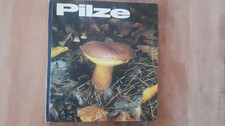 Pilze Kinderbuch  von Katharina Bickerich Stoll DDR 1983