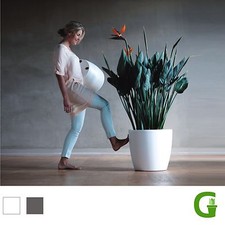 elho brussels round wheels Großer Blumenübertopf mit Rollen Blumentopf modern