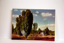 DIE TÖNENDE ANSICHTSKARTE SCHALLBILDKARTE HEIDELANDSCHAFT Die kleine Bimmelbahn