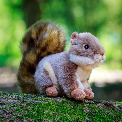 Eichhörnchen animigos - eichhörnchen,