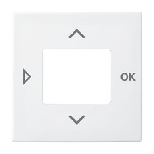 Busch-Jaeger Zentralscheibe