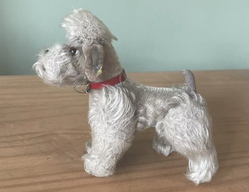 Steiff pudel mit knopf - mit, 50s