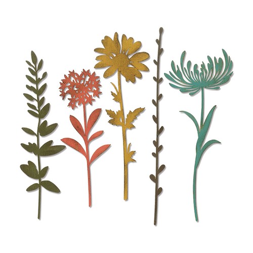 Sizzix tim holtz - holtz, thinlits
