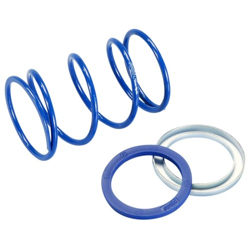Wandler gegendruckfeder polini - gegendruckfeder,