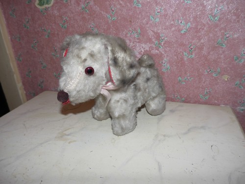 Alter hund 14 - alter, hund-h