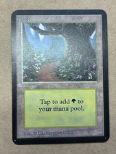 1993 MTG Alpha Forest B LP