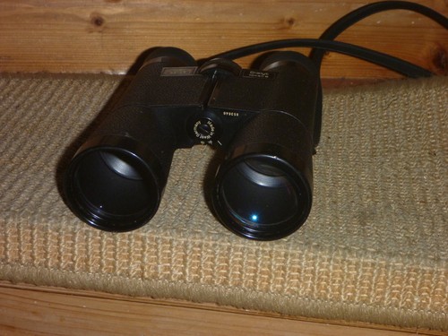 Zeiss dialyt 10x40b fernglas - dialyt,