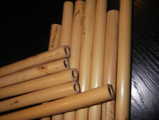 Englisch Horn Rohrholz abgelagert, 12 mm, 100g