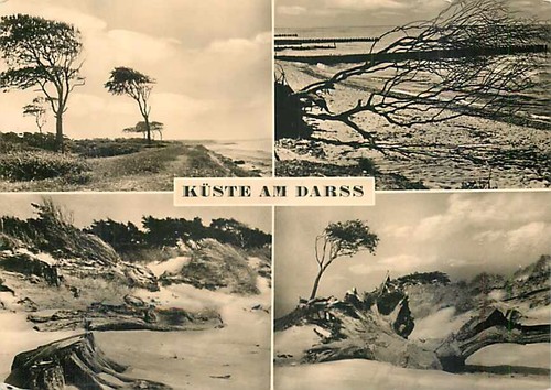 Ostsee küste am darss - ostsee,