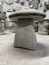 Großer staddelstein pilz - großer,