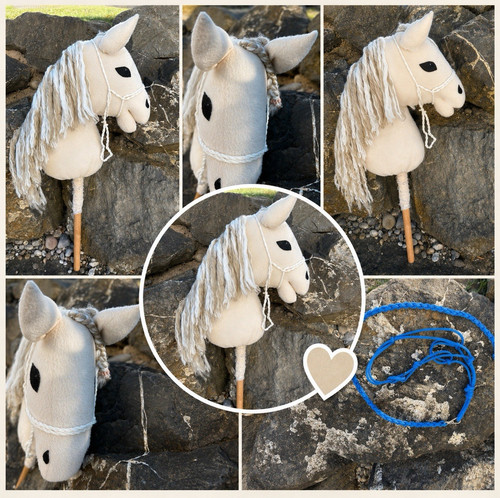 Steckenpferd hobby horse - hobby,