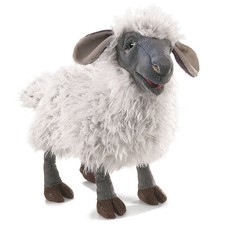 Blökendes schaf bleating - schaf,