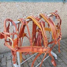 Top Leder Zweispänner