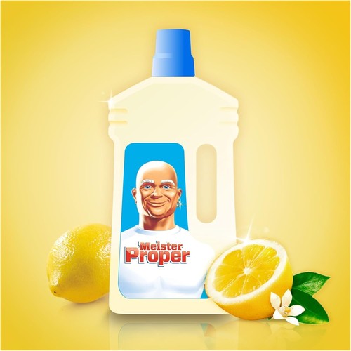 Meister proper - meister,