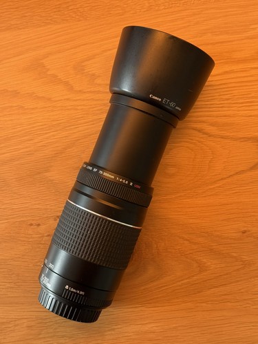 Canon 300mm 5 6 iii - canon, ef