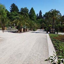 Steirische selbstspielende