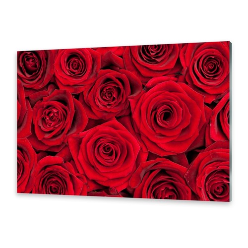 Glasbilder wandbild druck - wandbild,