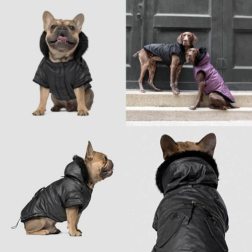 Canada pooch urban - urban, wax