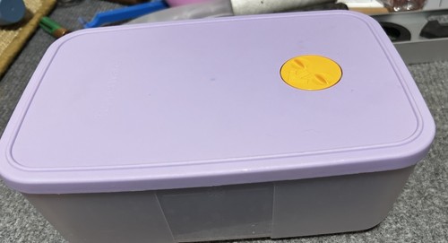 Tupperware große eiszeit - große, 1,5l