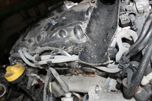 Motor ohne anbauteile - motor,