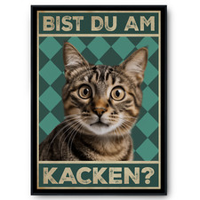 Bist du am Kacken? Katzen