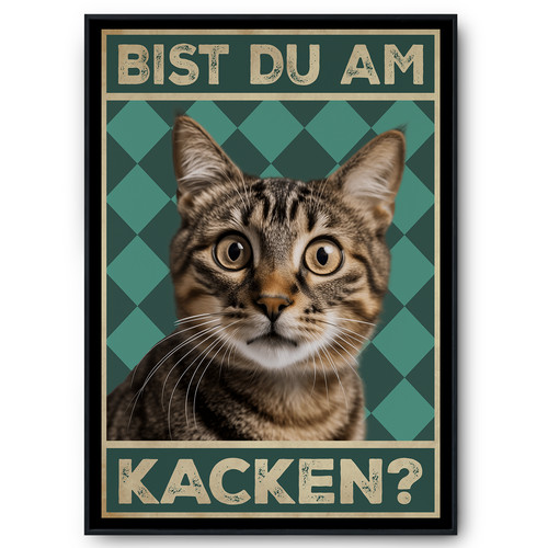 Bist kacken katzen - du, kacken?