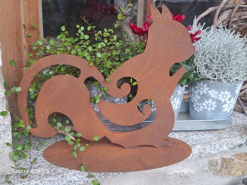 Edelrost eichhörnchen - edelrost,