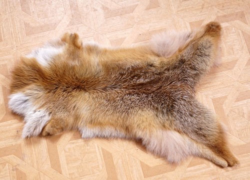 Schönes fuchsfell fox - fur, mit