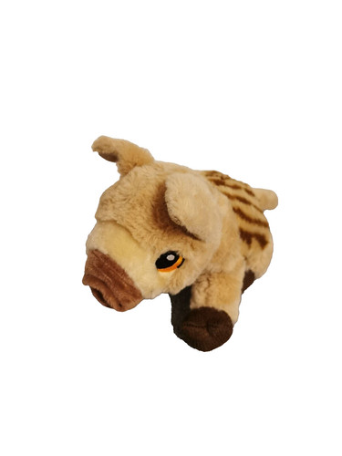 Wildschwein baby - wildschwein,,