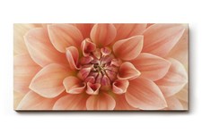 Sinus art wandbild - sinus,