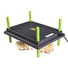 Wärmeplatte Heizplatte Küken