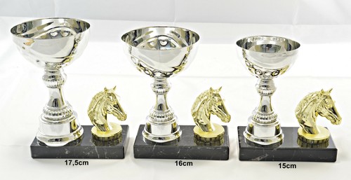 Pferd reitsport trophäe - pferd, /