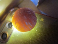 Schöner versteinerter