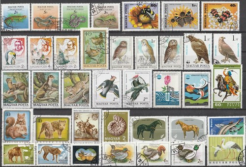 Tiere lot aus ungarn zum - tiere,