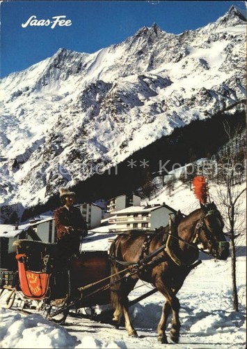 Saas fee pferdeschlitten - saas-fee,