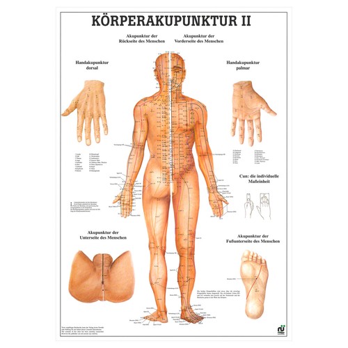 Körperakupunktur lehrtafel - ii,