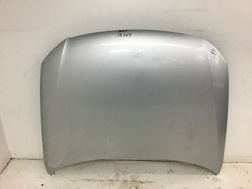 Motorhaube passat variant - passat,