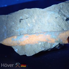 Schöner Belemnit im Matrix