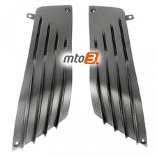 Carbon Seitenverkleidung für